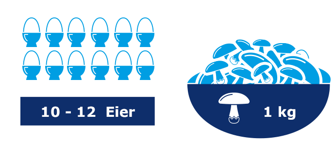 A collection of blue illustrations representing eggs and mushrooms, with labels indicating quantities.