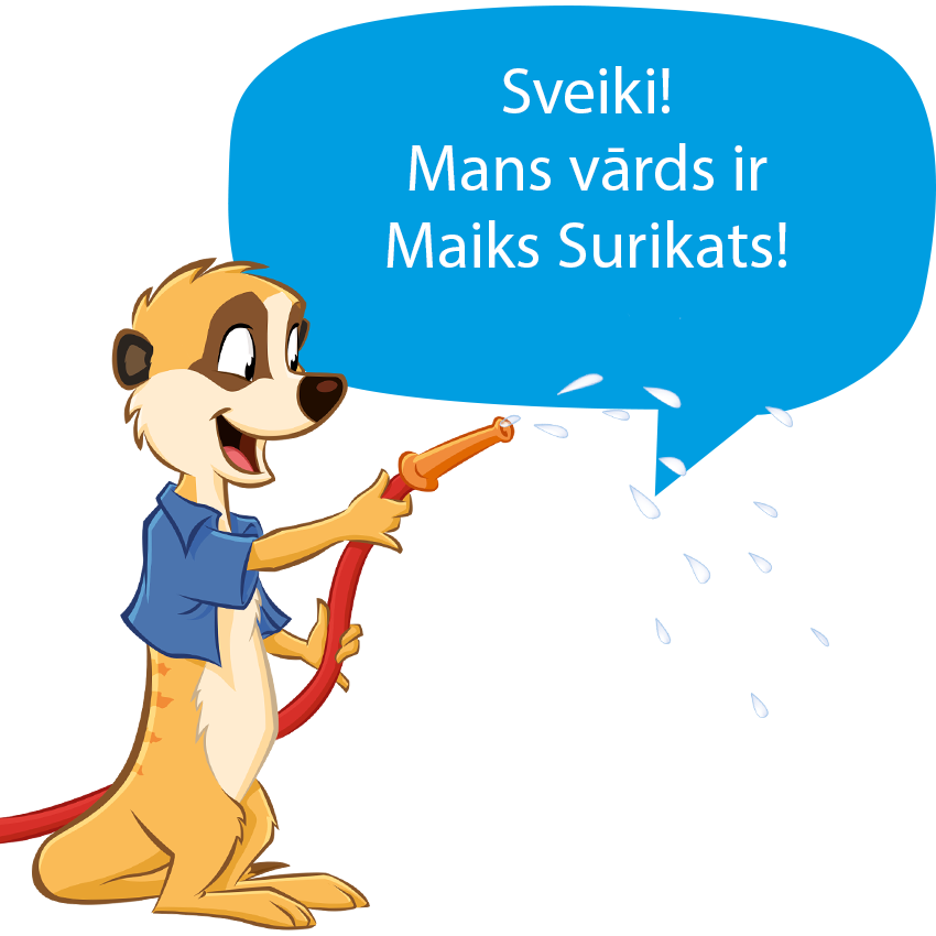 Surikata ar šļūteni, kas izsmidzina ūdeni.
